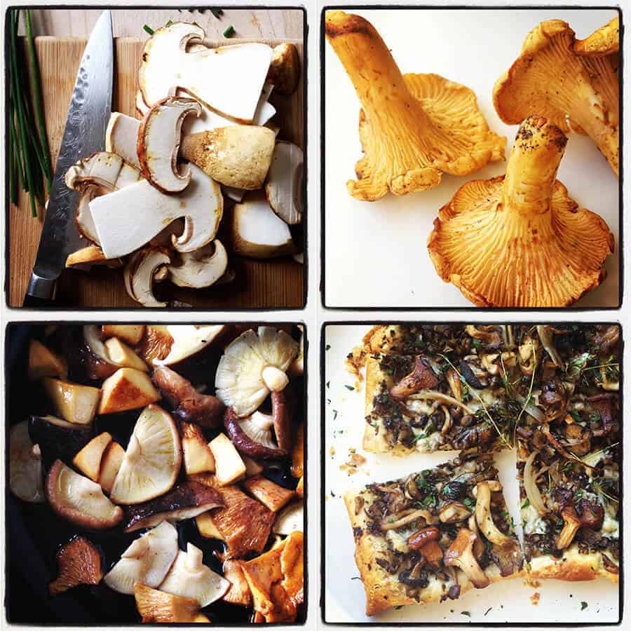Mushroom Fideuà - Cilantro and Citronella