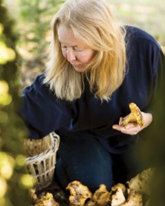 Connie Green foraging for mushrooms