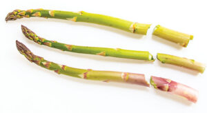 snapped asparagus